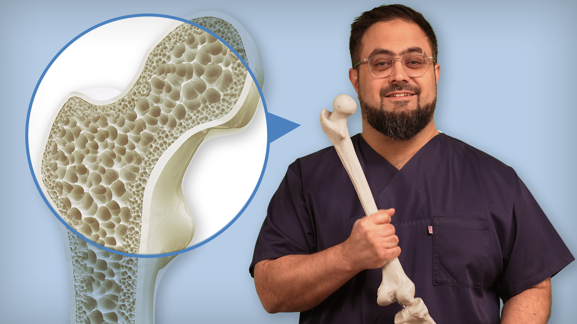 Vorschaubild zum Kurs: Osteoporose: Diagnostik, Therapie und Prävention