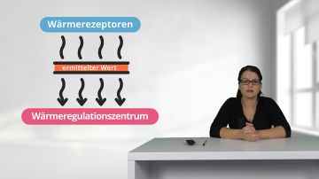 Temperatur richtig messen
