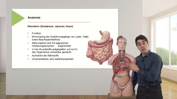 Grundlagen der Stomatherapie