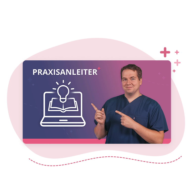 Praxisanleiter